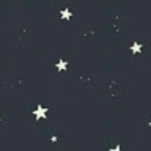 Meet your Posher, Josie